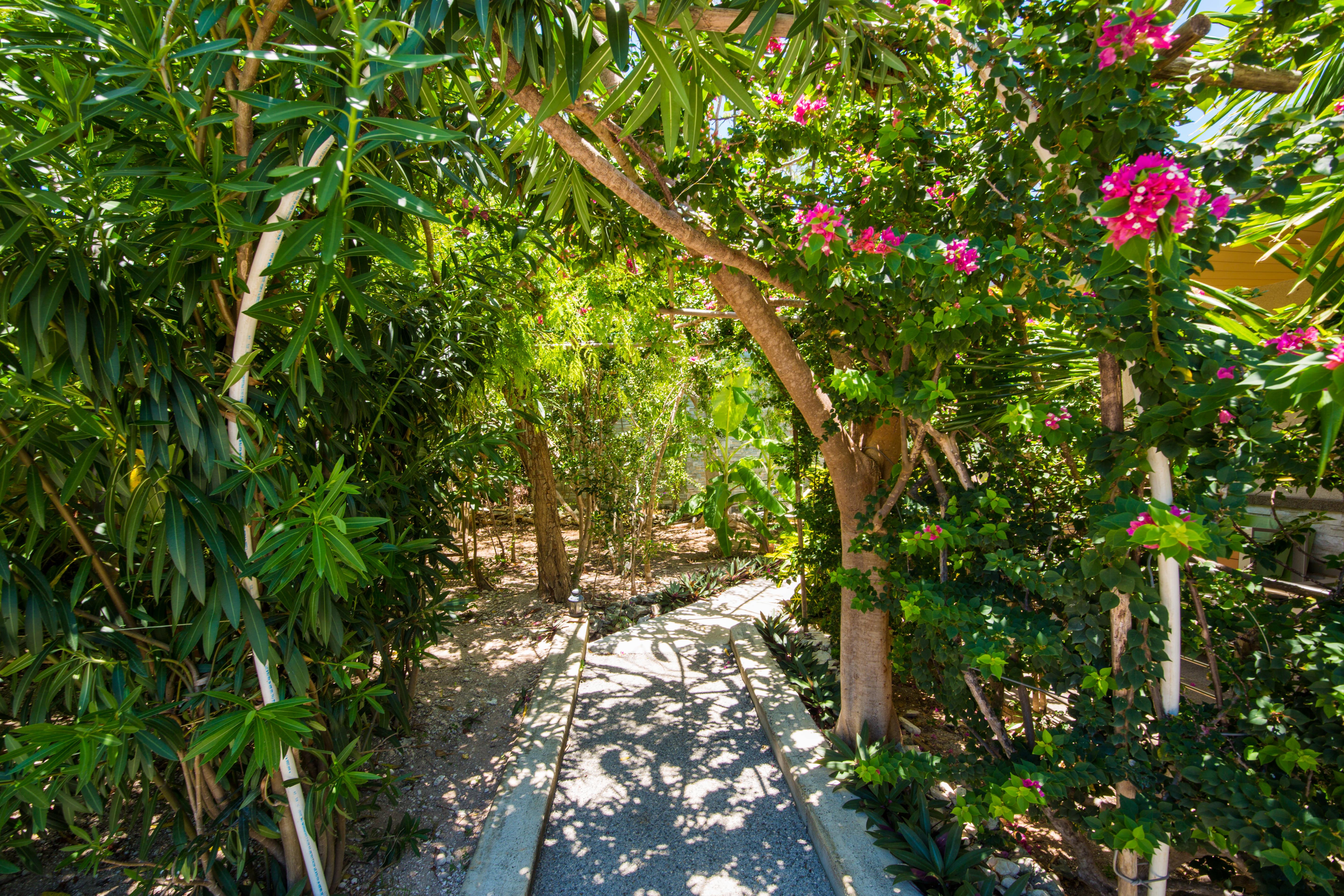 One On Marlin Resort (Adults Only) Turtle Cove Экстерьер фото
