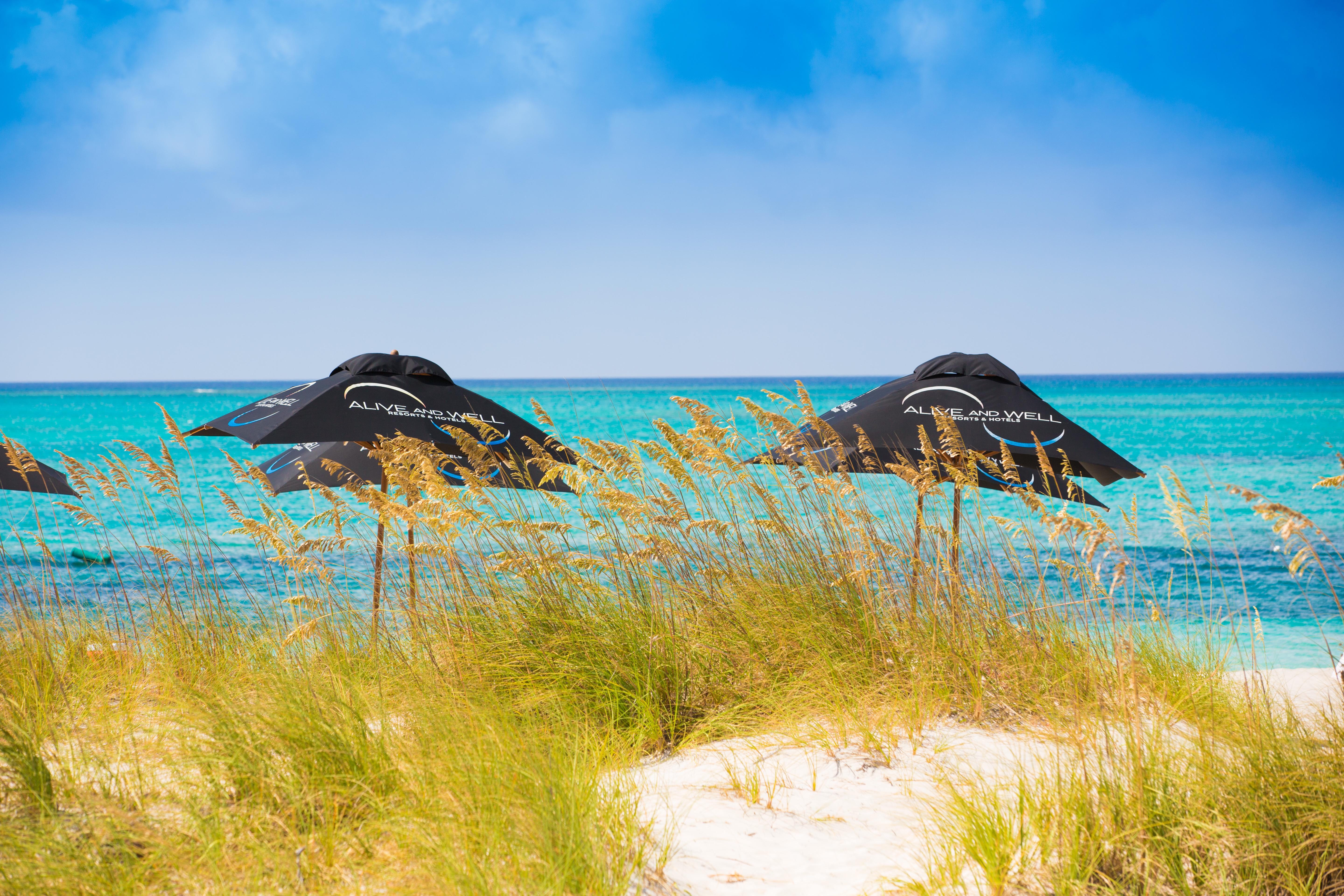 One On Marlin Resort (Adults Only) Turtle Cove Экстерьер фото