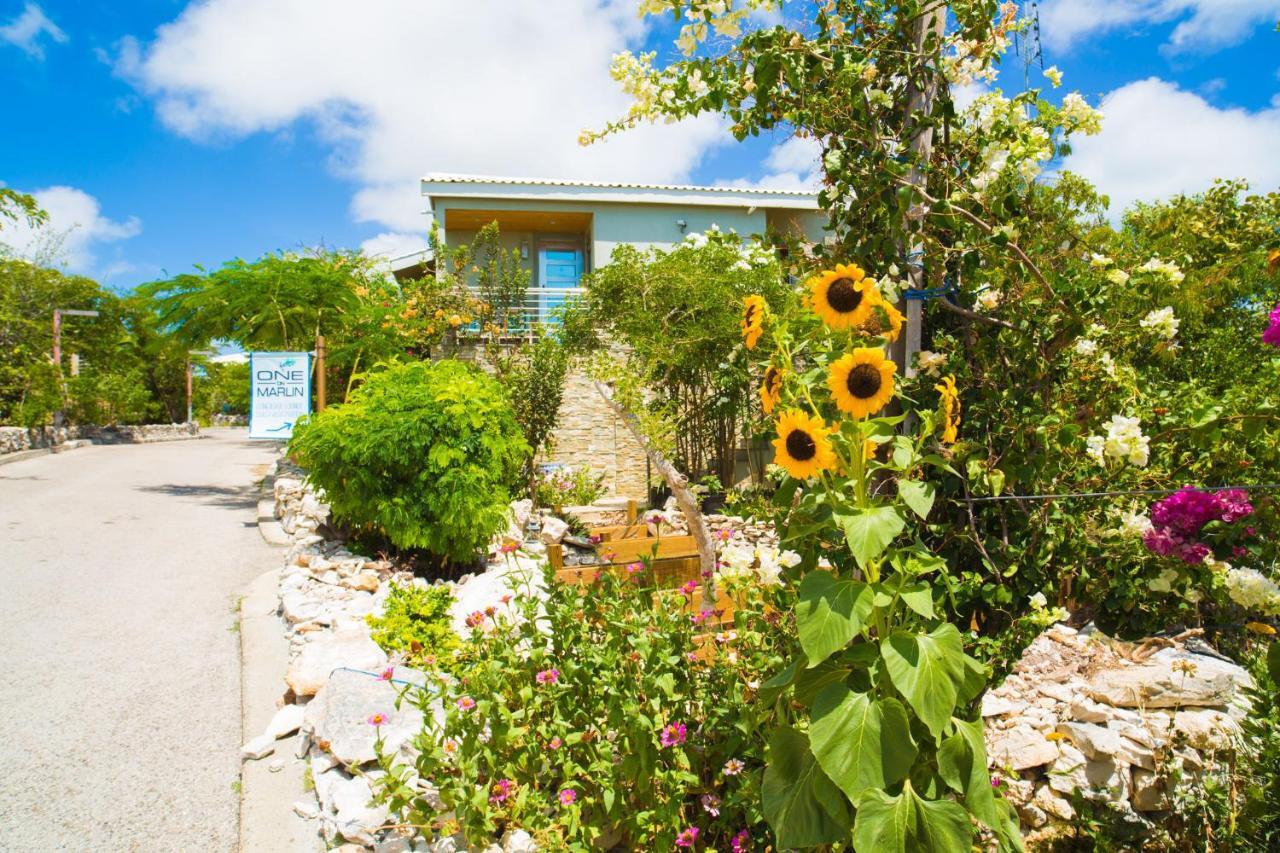 One On Marlin Resort (Adults Only) Turtle Cove Экстерьер фото